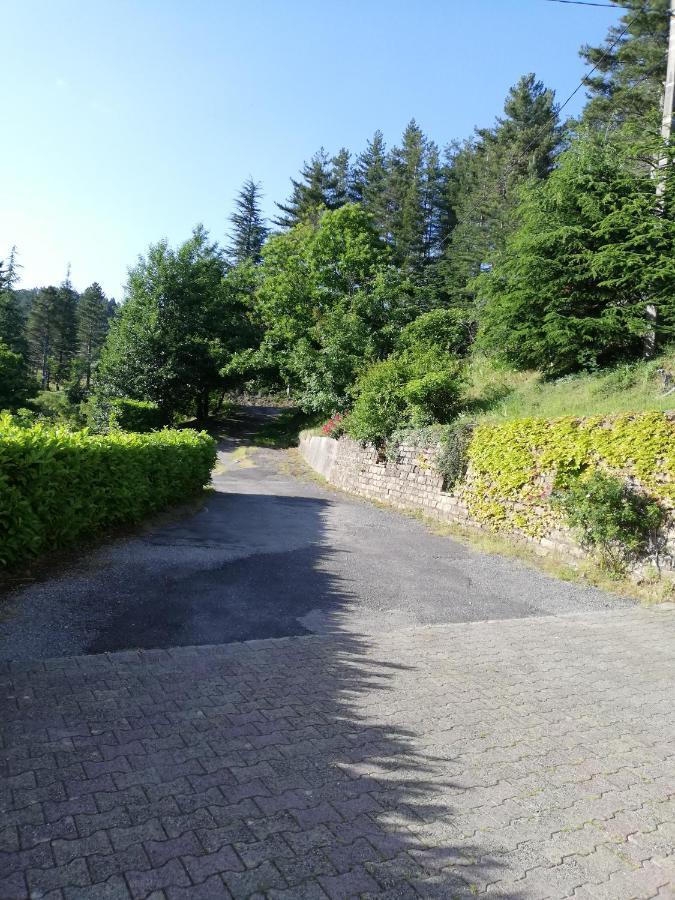 Gites En Cevennes "Chez Steloune" Genolhac エクステリア 写真