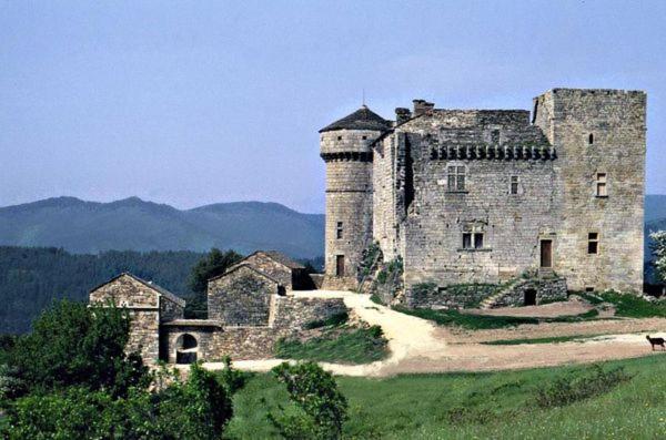 Gites En Cevennes "Chez Steloune" Genolhac エクステリア 写真
