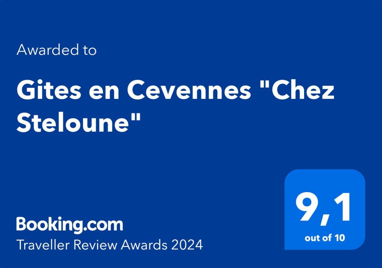 Gites En Cevennes "Chez Steloune" Genolhac エクステリア 写真